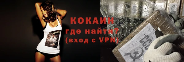 сатива Каменск-Шахтинский