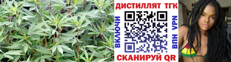 ТГК Wax купить сайты Уржум